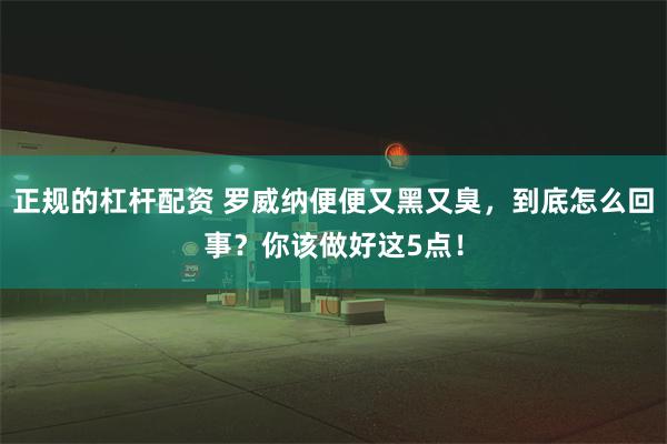 正规的杠杆配资 罗威纳便便又黑又臭，到底怎么回事？你该做好这5点！