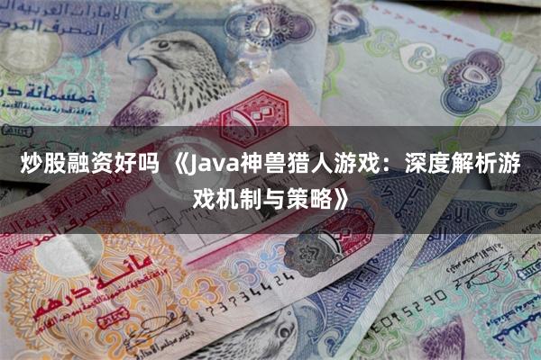 炒股融资好吗 《Java神兽猎人游戏：深度解析游戏机制与策略》