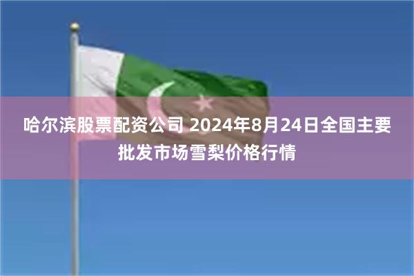 哈尔滨股票配资公司 2024年8月24日全国主要批发市场雪梨价格行情