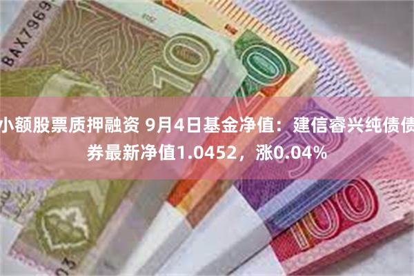 小额股票质押融资 9月4日基金净值：建信睿兴纯债债券最新净值1.0452，涨0.04%