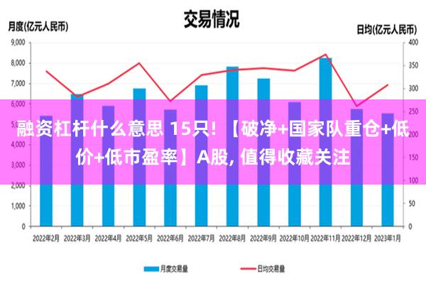 融资杠杆什么意思 15只! 【破净+国家队重仓+低价+低市盈率】A股, 值得收藏关注