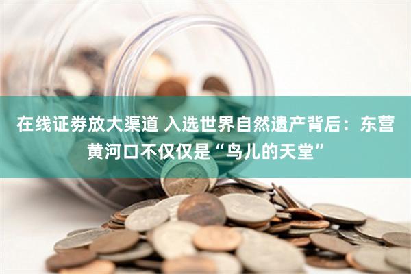 在线证劵放大渠道 入选世界自然遗产背后：东营黄河口不仅仅是“鸟儿的天堂”