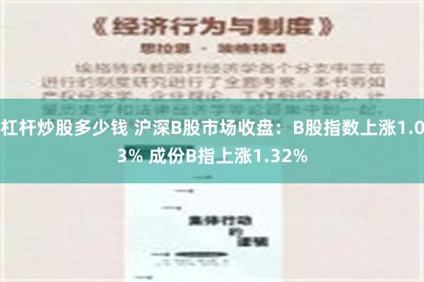 杠杆炒股多少钱 沪深B股市场收盘：B股指数上涨1.03% 成份B指上涨1.32%