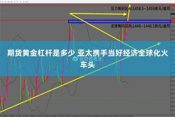 期货黄金杠杆是多少 亚太携手当好经济全球化火车头